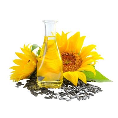 Sunflower Oil
